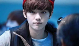 娱乐圈吃瓜郑业成微博,娱乐圈幕后真相大揭秘